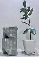 Paper and Plastic Bin Paper and Plastic Bin